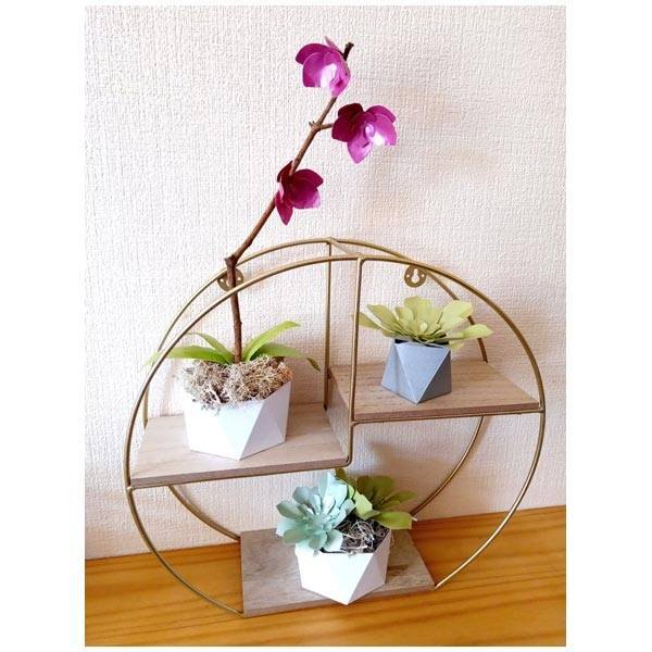 Simply Made Crafts Die Set Stunning Succulents Set of 4 | Botanical Collection