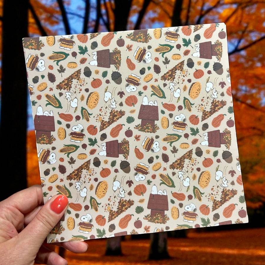 Peanuts 8 x 8 Paper Pack Fall Is Here | Chill Out & Be Thankful