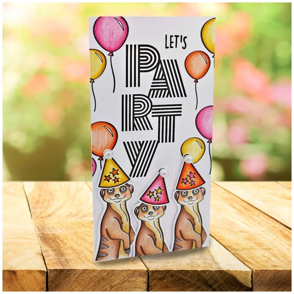 Made To Surprise A5 Clear Stamp Set Party Pieces Photo Booth Props by Sam Calcott | Set of 21