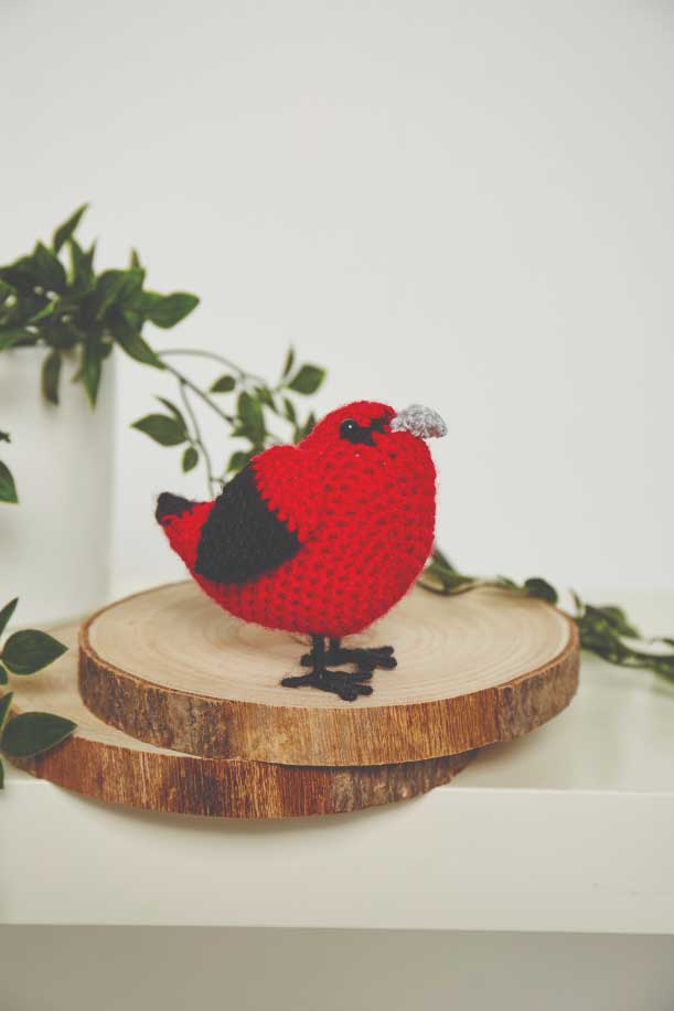 Crochet Garden Birds book