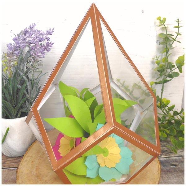 Simply Made Crafts Die Set Stunning Succulents Set of 4 | Botanical Collection