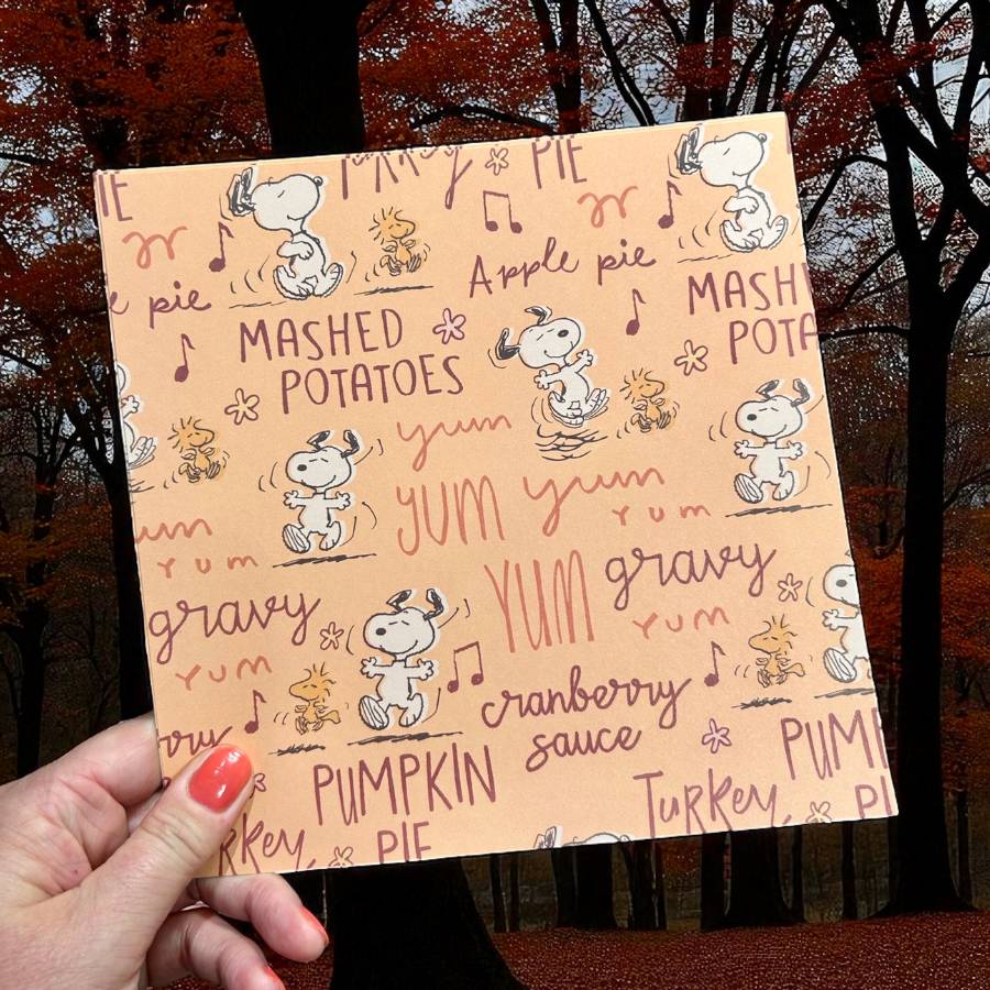 Peanuts 8 x 8 Paper Pack Fall Is Here | Chill Out & Be Thankful