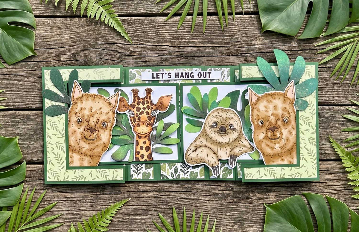 Made To Surprise | Lift & Slide Bundle