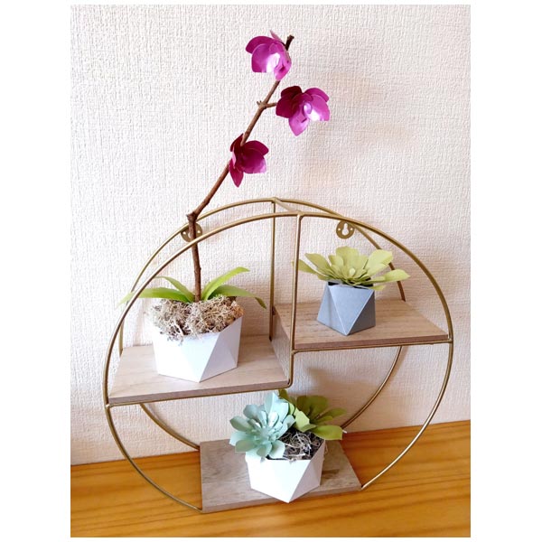 Simply Made Crafts Die Set Stunning Succulents Set of 4 | Botanical Collection