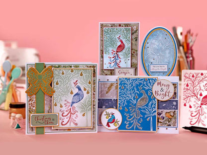 Crafter's Companion Crafter's Inspiration Magazine & Kit #10