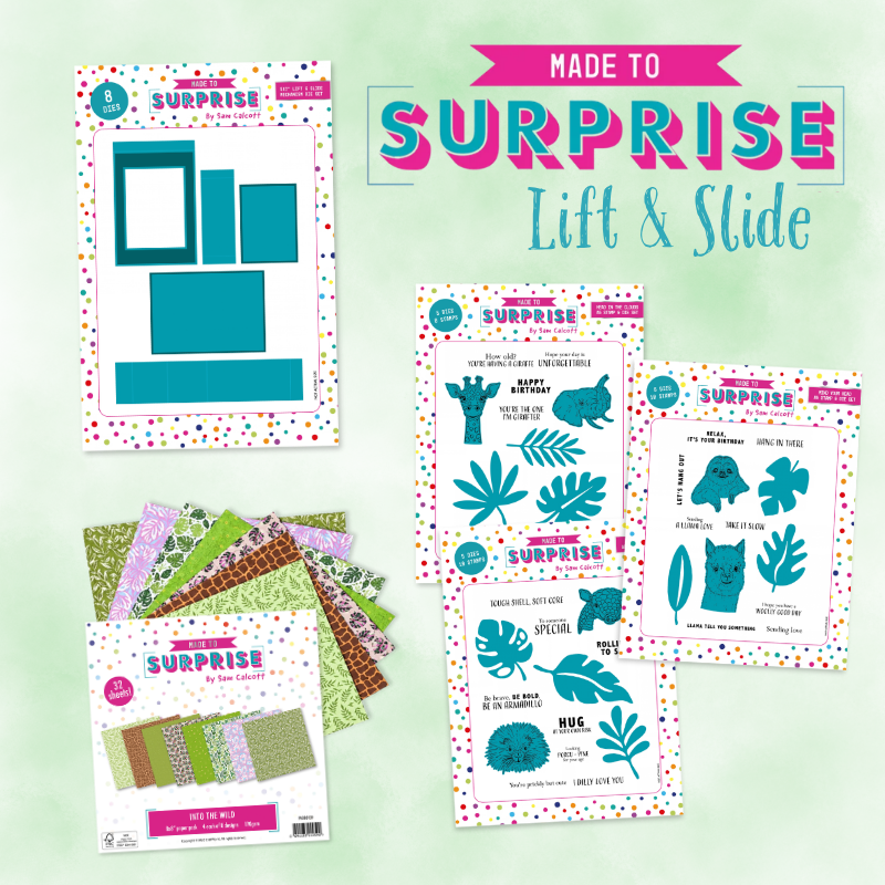 Made To Surprise | Lift & Slide Bundle