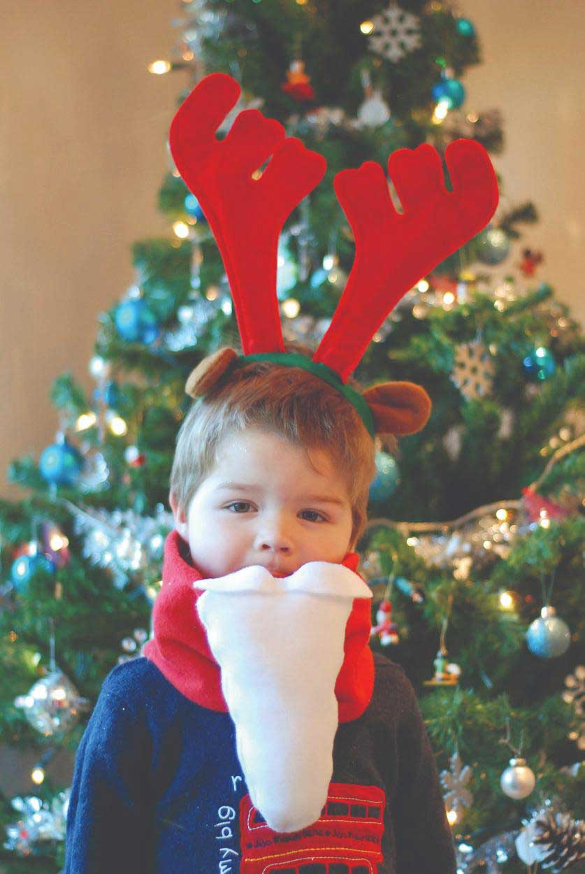 Stitching for the Holidays digital book