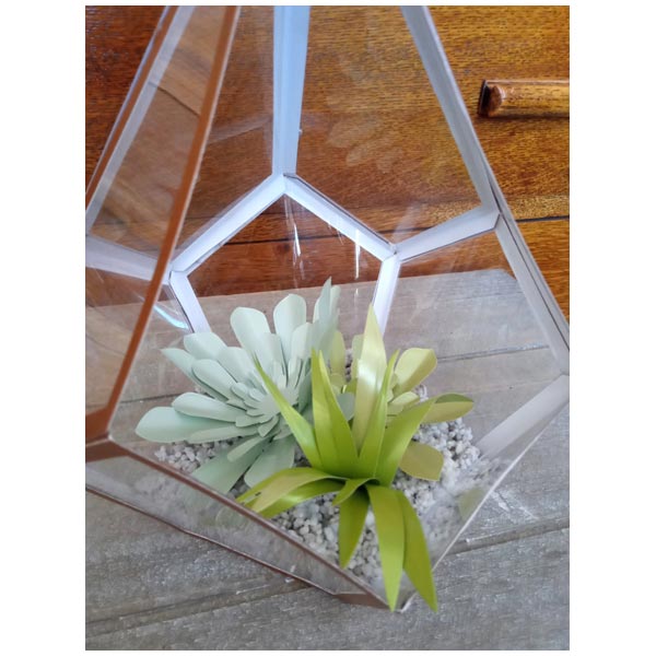 Simply Made Crafts Die Set Special Succulents Set of 4 | Botanical Collection
