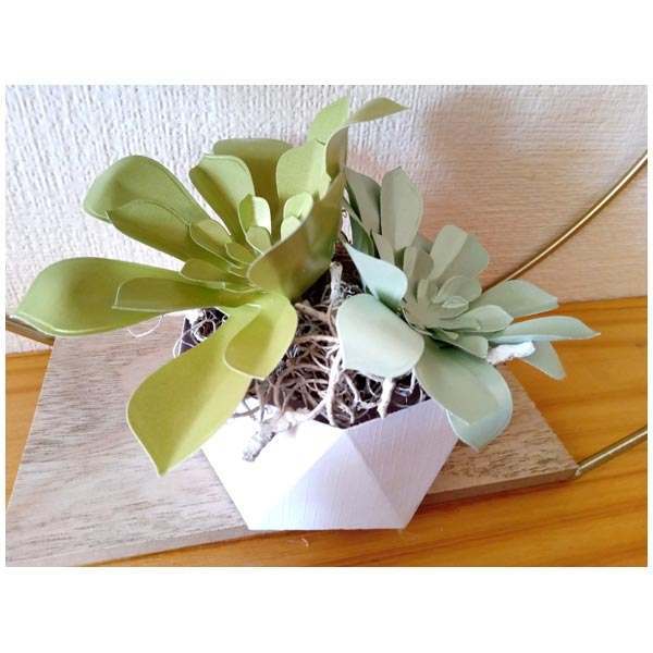 Simply Made Crafts Die Set Stunning Succulents Set of 4 | Botanical Collection