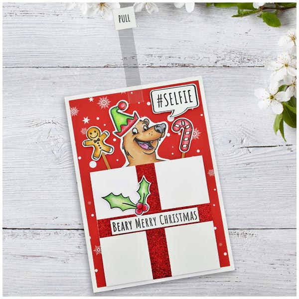 Made To Surprise Die Set Christmas Photo Booth Props Outline by Sam Calcott | Set of 8