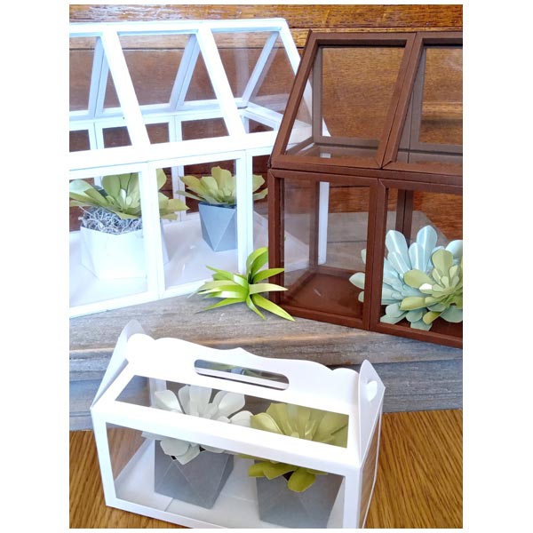 Simply Made Crafts Die Set Special Succulents Set of 4 | Botanical Collection