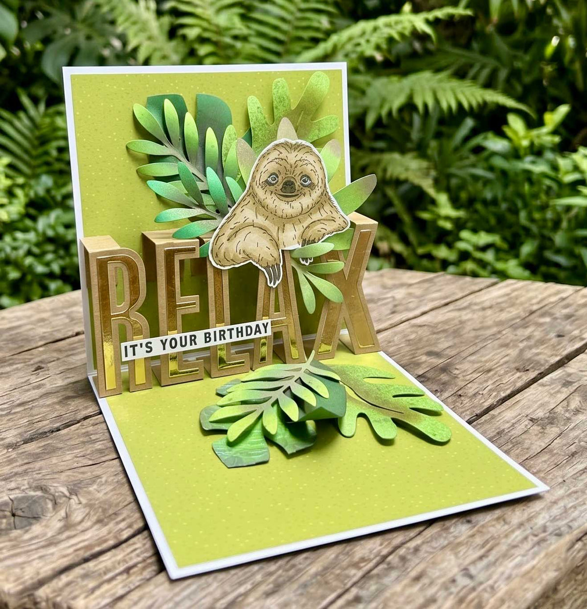 Made to Surprise 8'' x 8'' Paper Pack Into The Wild | Lift & Slide