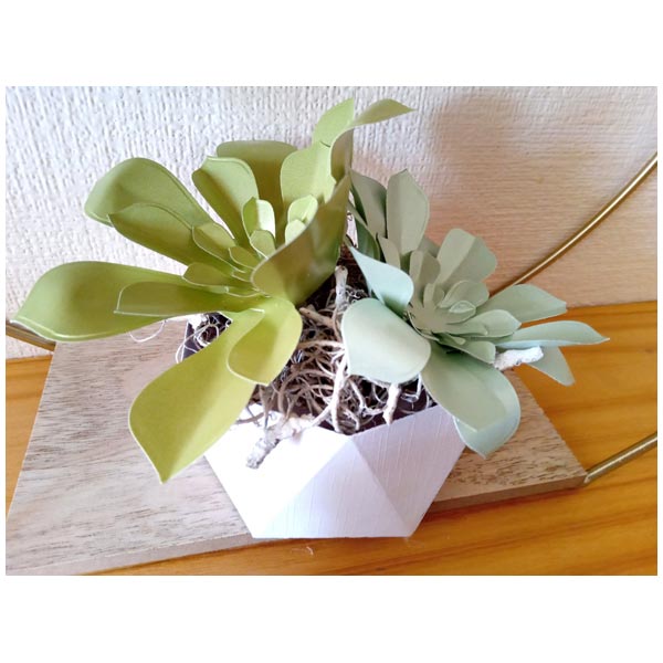 Simply Made Crafts Die Set Stunning Succulents Set of 4 | Botanical Collection