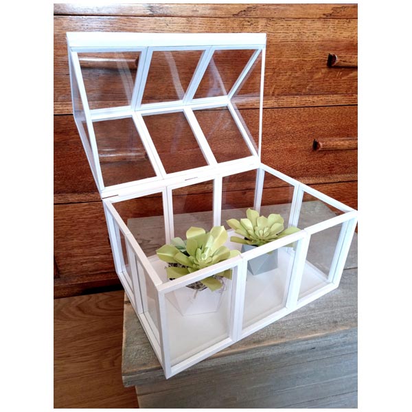 Simply Made Crafts Die Set Terrific Terrarium Set of 7 | Botanical Collection