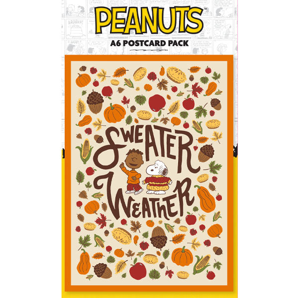 Peanuts A6 Topper Pack Chill Out | Chill Out & Be Thankful