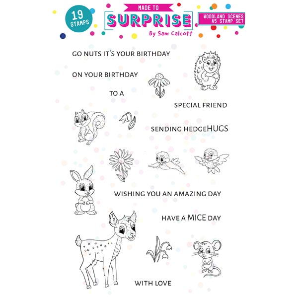 Made To Surprise A5 Clear Stamp Set Woodland Scenes Animals by Sam Calcott | Set of 19