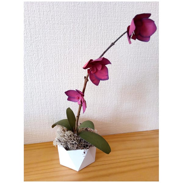 Simply Made Crafts Die Set Ultimate Orchid and Leaf Set of 5 | Botanical Collection