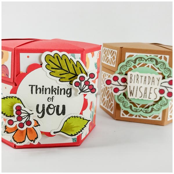 Simply Made Crafts Die & Stamp Set Autumn Fun Set of 46 | Autumn Fun Collection