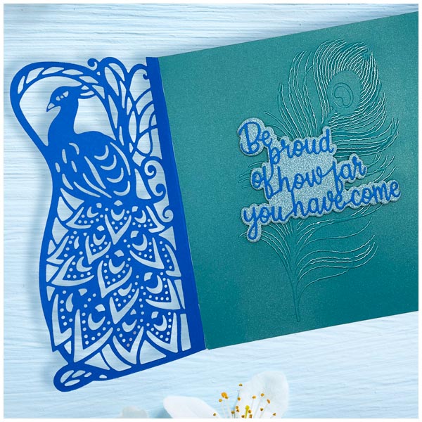 Card Making Magic Embossing Folder Just Peacocks Perfect Peacock Feather | 5in x 7in