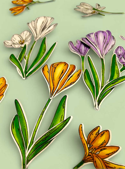 Made to Surprise A5 Stamp and Die Large Crocuses | Bloomin' Wonderful