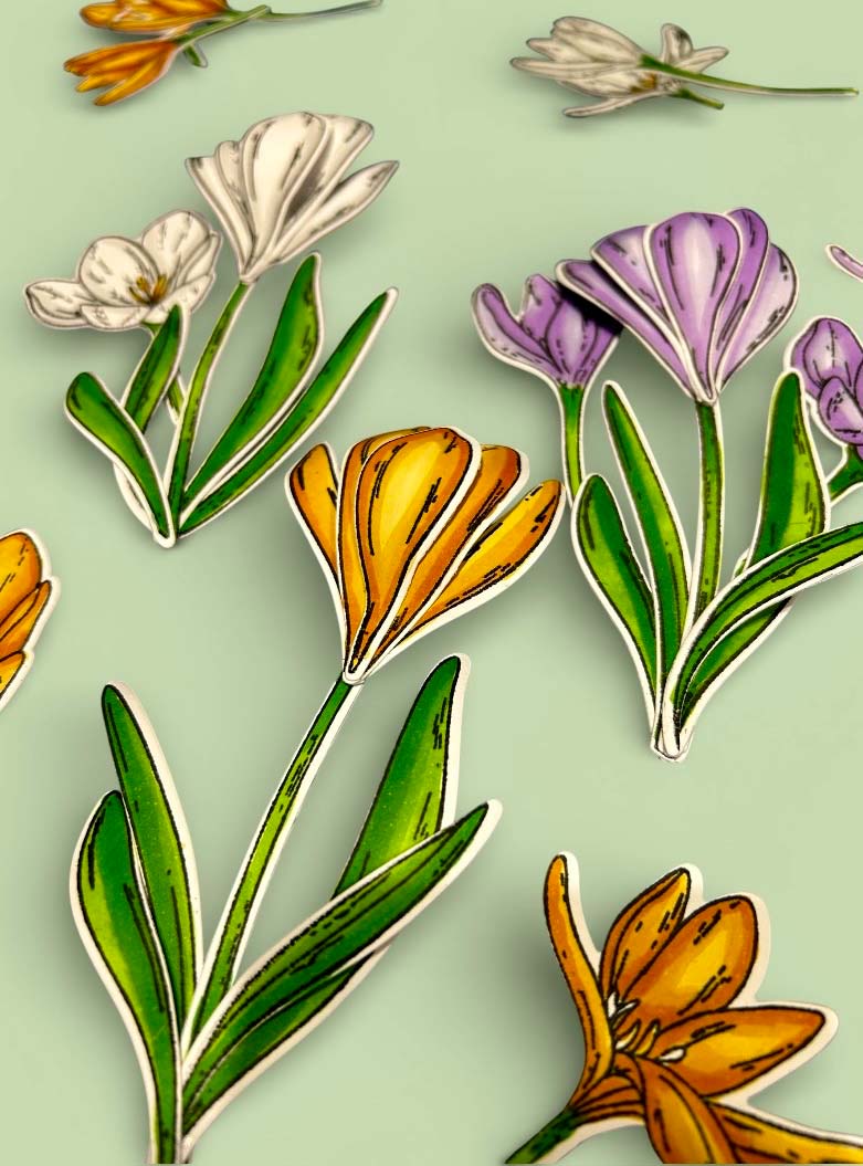 Made to Surprise A5 Stamp and Die Large Crocuses | Bloomin' Wonderful