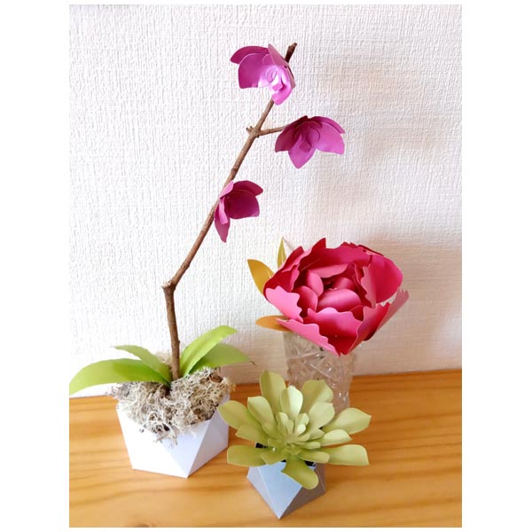 Simply Made Crafts Die Set Stunning Succulents Set of 4 | Botanical Collection
